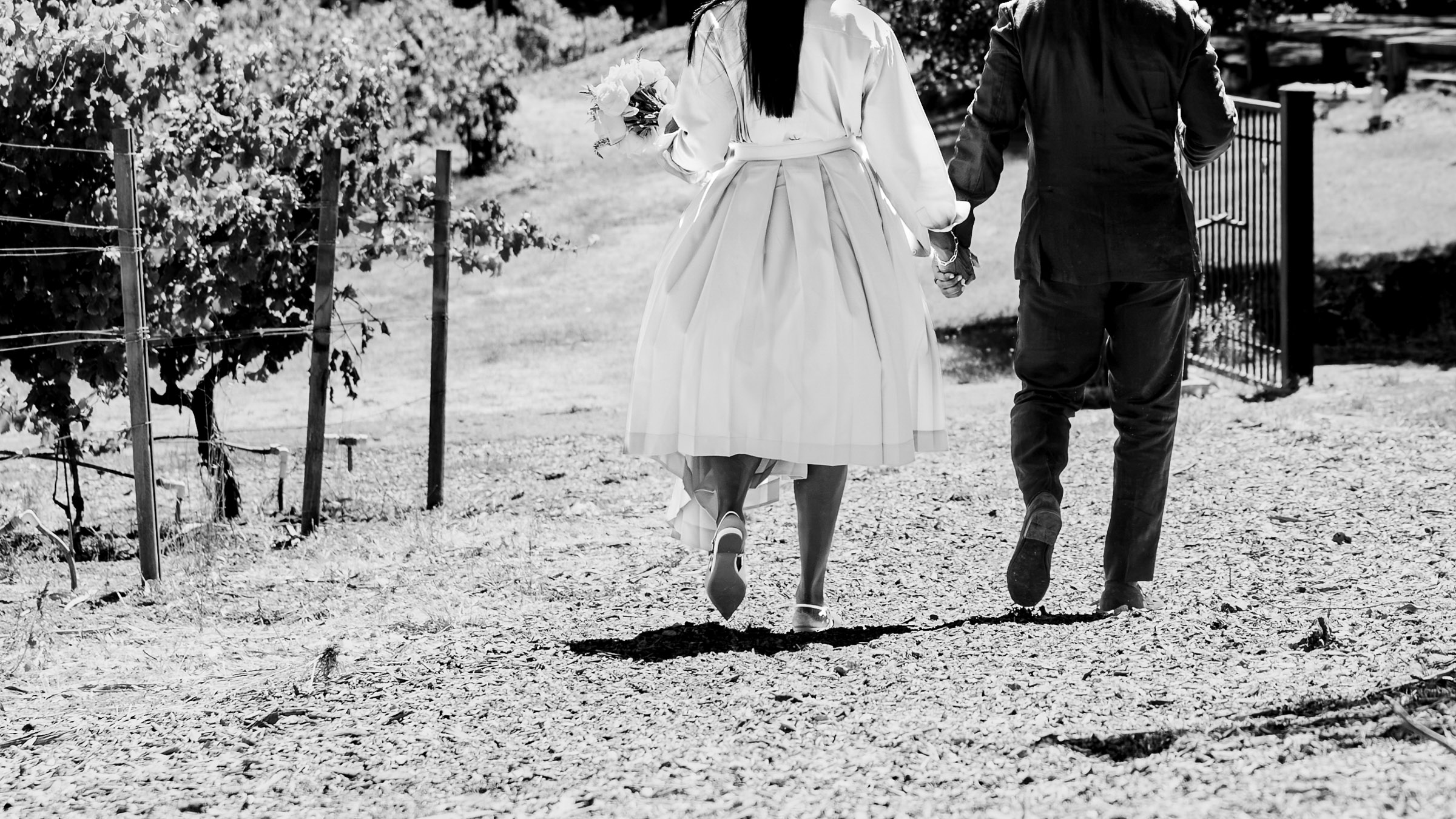 Bride and groom walking through the vineyard at Bartholomew Estate Winery after their Sonoma County courthouse elopement.